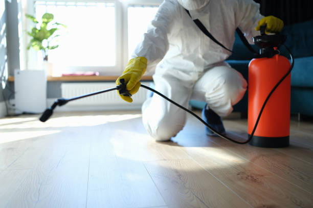 Reliable Odor Removal contractor in Carpinteria, CA by Dulley Family Biohazard Services
